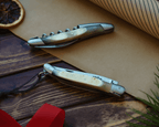Coffret cadeau - Corne de vache Aubrac - Couteau de sommelier et couteau pliant - Forge de Laguiole