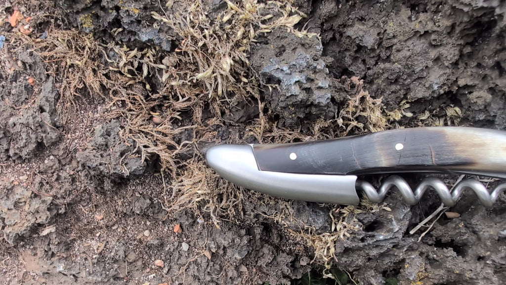 Forge De Laguiole Sommelier Corne d'Aubrac Finition satinée