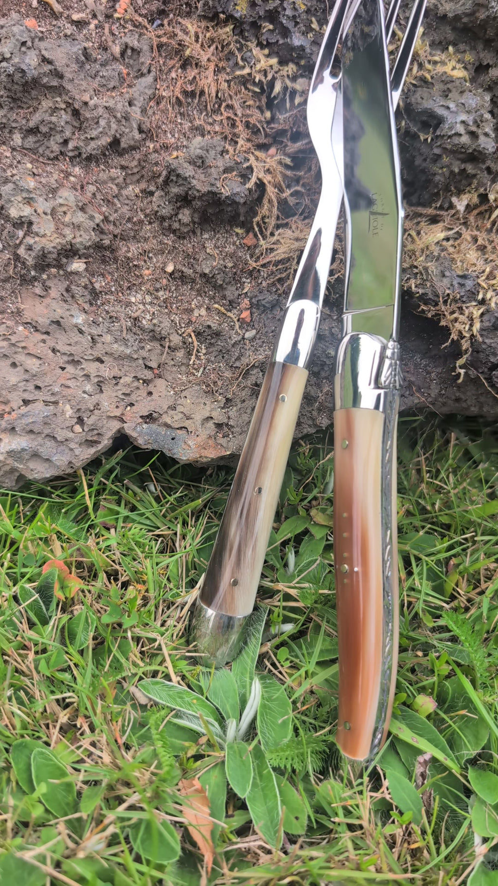 Forge de Laguiole | Corne Claire