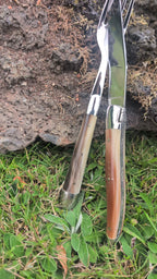 Forge de Laguiole | Corne Claire