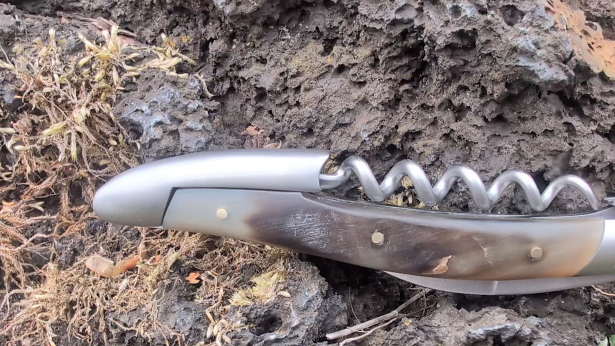 Forge De Laguiole Sommelier Corne d'Aubrac Finition satinée